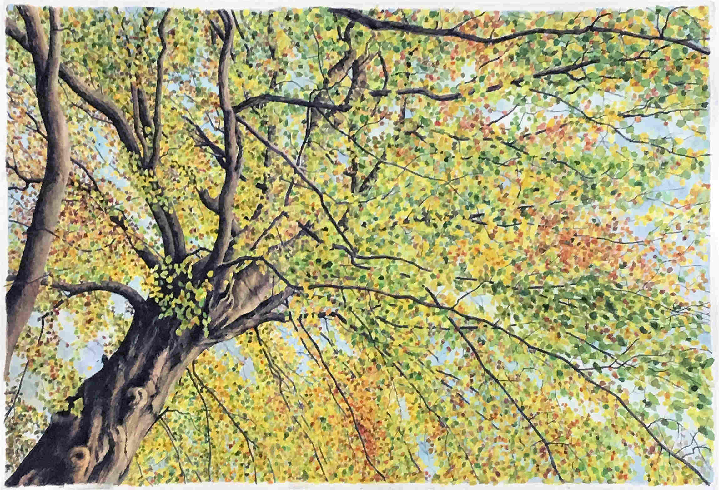 'Poplar Tree I' by artist Gavin Weir